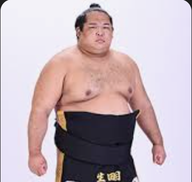 二子山部屋の令和8年名古屋場所！注目力士の成績と再十両昇進の生田目や自己最高位の狼雅